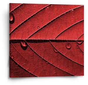 Sablio Obraz Červený list - 50x50 cm
