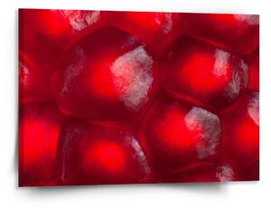 Sablio Obraz Granátové jablko - 150x110 cm