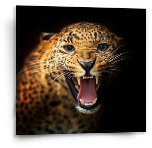 Sablio Obraz Gepard 2 - 50x50 cm