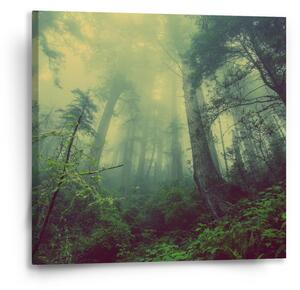 Sablio Obraz Temný les - 50x50 cm