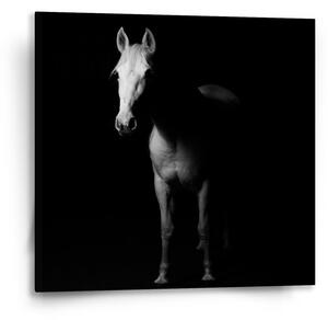 Sablio Obraz Kůň ve stínu - 50x50 cm