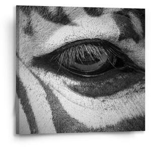 Sablio Obraz Oko zebry - 50x50 cm