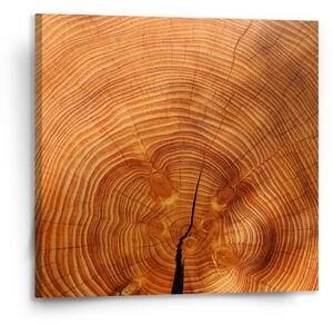 Sablio Obraz Dřevo 2 - 110x110 cm