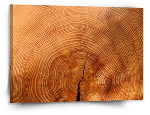 Sablio Obraz Dřevo 2 - 150x110 cm