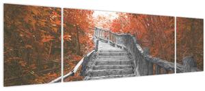 Obraz - Schody v přírodě, oranžová (170x50 cm)