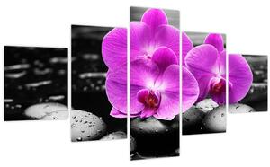 Obraz - Fialové orchideje (125x70 cm)