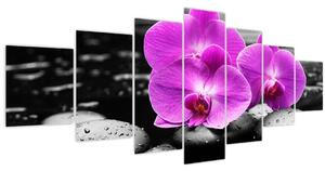 Obraz - Fialové orchideje (210x100 cm)