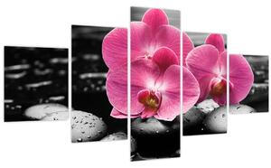 Obraz - Růžové orchideje (125x70 cm)
