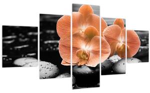 Obraz - Oranžové orchideje (125x70 cm)