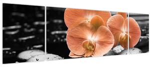 Obraz - Oranžové orchideje (170x50 cm)