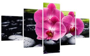 Obraz - Růžové orchideje s palmovým listem (125x70 cm)