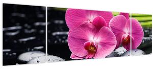 Obraz - Růžové orchideje s palmovým listem (170x50 cm)