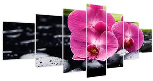 Obraz - Růžové orchideje s palmovým listem (210x100 cm)