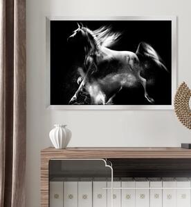 Obraz na plátně Lipicánský Kůň, Série Vídeň