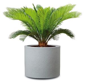 Scheurich Květináč Riva (Stony Grey, Ø 50 cm) (100349892003)