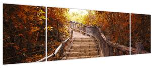 Obraz - Schody v přírodě na podzim (170x50 cm)