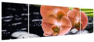 Obraz - Oranžová orchidej s palmovými listy (170x50 cm)