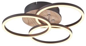 Stropní LED svítidlo CIRCLE černá/přírodní
