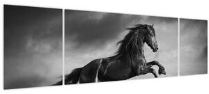 Obraz - Kůň černobílý (170x50 cm)