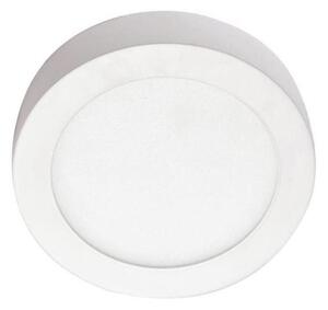 LED Stropní svítidlo LED/12W/230V 4000K pr. 17,2 cm