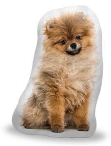 Sablio 3D polštář ve tvaru Pomeranian