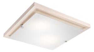 Stropní svítidlo 1xE27/60W/230V