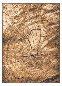 Weltom Kusový koberec BCF Morad PAŘEZ STROMU Dřevo šedý béžový staré zlato Rozměr: 120x170 cm