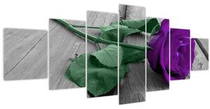 Obraz - Fialová růže se zeleným stonkem (210x100 cm)