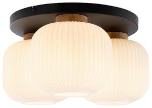 STROPNÍ SVÍTIDLO, 45.5/22 cm Collett's Monde - Online Only svítidla, Online Only