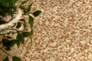Weltom Kusový koberec BCF Morad KRZYS Květy klasický hnědý Rozměr: 80x150 cm