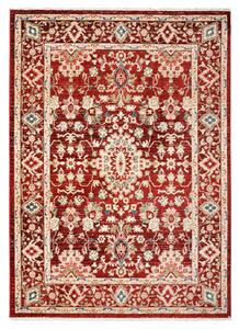 Makro Abra Kusový koberec RIVOLI EE65B Klasický červený Rozměr: 80x150 cm