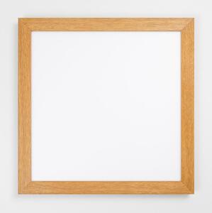 Eglo 99471 - LED Stropní svítidlo PIGLIONASSO LED/20W/230V 500x500 mm