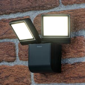 Theben LED venkovní nástěnné svítidlo theLeda S17-100L, černé, 2 světla, Černá, Plast