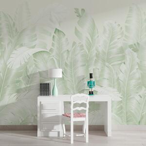 Fototapety Trendy pastelové tropické zelené listy, Fototapety les, Fototapety tropické, w01481v2 : uwalls.cz
