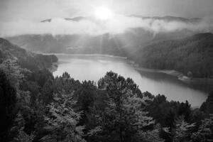Obraz řeka uprosted lesa v černobílém provedení - 60x40 cm