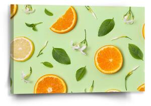 Sablio Obraz Citrus a květ - 60x40 cm