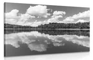 Obraz příroda v letním období v černobílém provedení - 120x80 cm