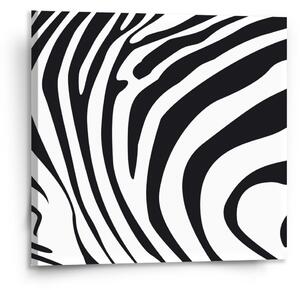 Sablio Obraz Vzor zebry - 110x110 cm