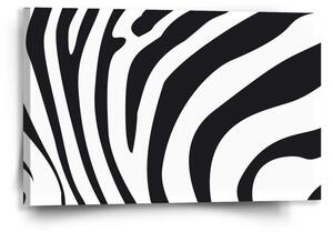 Sablio Obraz Vzor zebry - 60x40 cm