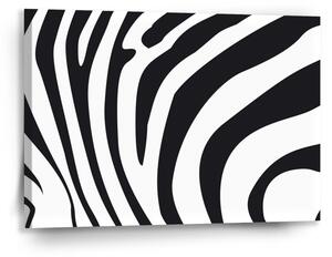 Sablio Obraz Vzor zebry - 90x60 cm