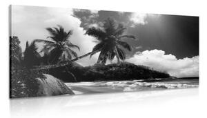 Obraz nádherná pláž na ostrově Seychely v černobílém provedení - 100x50 cm
