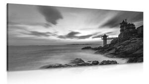 Obraz nádherná krajina u moře v černobílém provedení - 100x50 cm