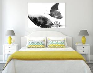 Obraz pírko s motýlem v černobílém provedení - 60x40 cm