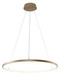 Zlaté závěsné LED svítidlo prstenec BRENO 60 cm