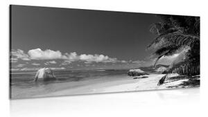 Obraz pláž Anse Source v černobílém provedení - 100x50 cm