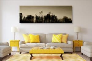 Obraz sépiový les - 150x50 cm