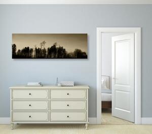 Obraz sépiový les - 150x50 cm