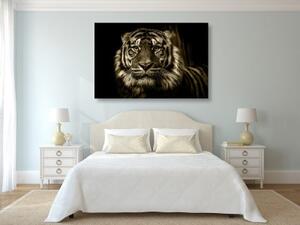 Obraz tygr v sépiovém provedení - 120x80 cm