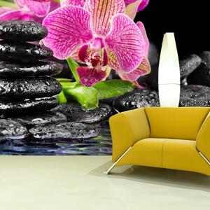 Sablio Tapeta Orchidej na kamenech - 336x220 cm