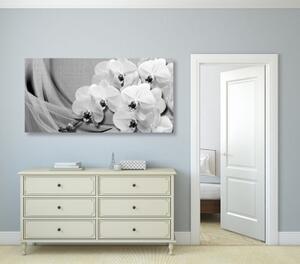 Obraz orchidej na plátně v černobílém provedení - 100x50 cm